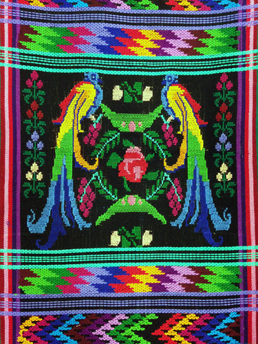 World Cup, Guatemala & the Bird